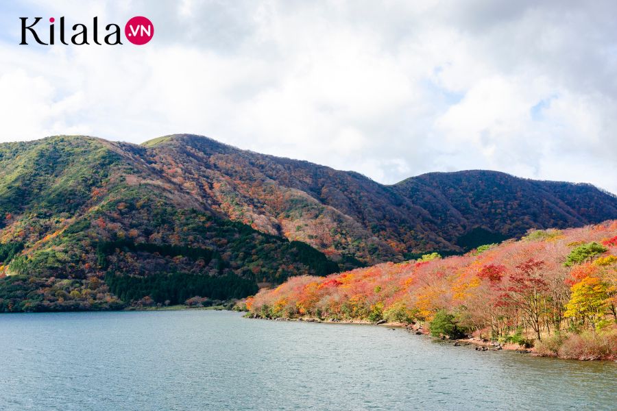 hakone hakone